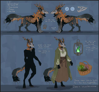 Ref Sheet done by Auccultist